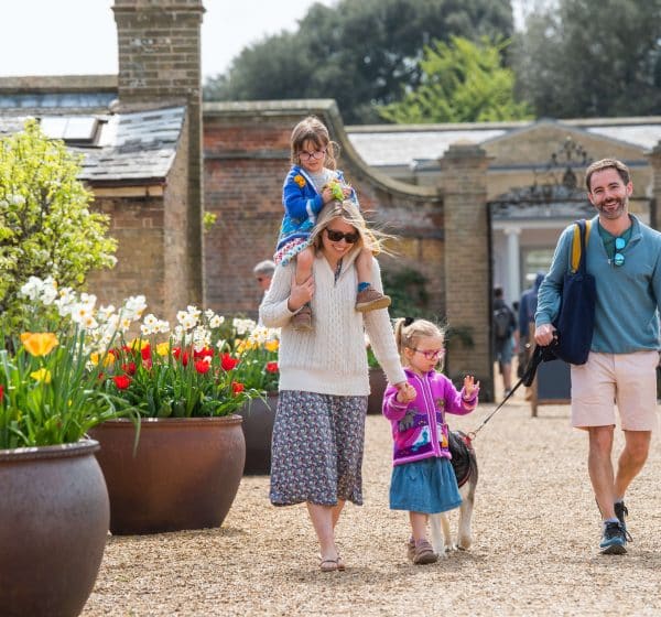 Two parents and two young children dressed walk through Holkham Walled Garden, with spring flowers. One child is on the mum's shoulders.