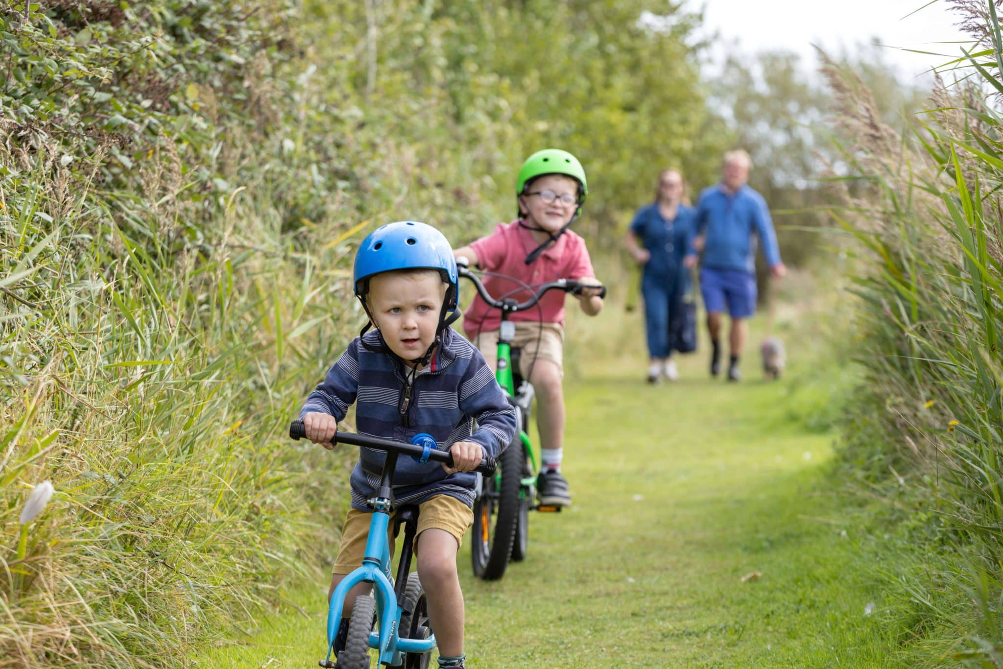 Two boys ride their bikes along a grassy path. Their parents and dog walk behind them.